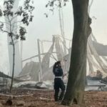 Incendio pineta Castelfusano 1