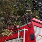 PHOTO-2022-11-22-15-24-12