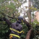 PHOTO-2022-11-22-15-27-01