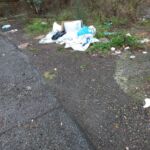 rifiuti_casal_bernocchi (5)
