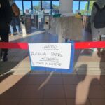 47744AC1-DACE-4A96-A740-D6600A2E4DB7