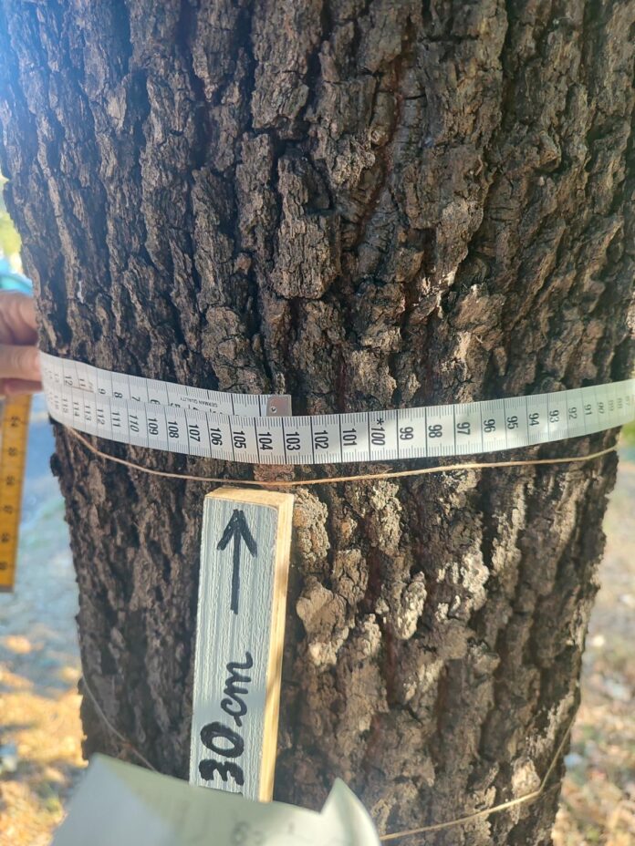 4acab367-0d5a-4a7d-bec6-fc40909d9207