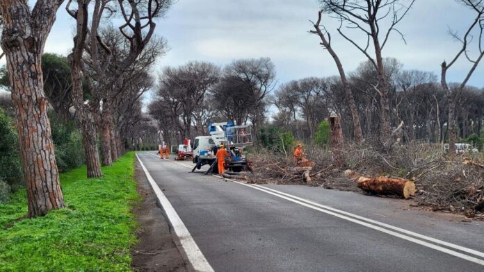 73da633f-e4a9-4a6d-9183-8fd96a70f745